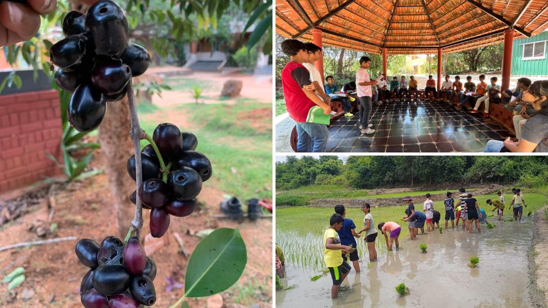 The Peepal Grove | A co-educational, residential school (ICSE Syllabus), nestled in an enchanting valley in South India